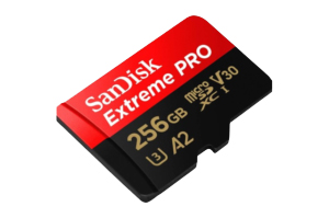 ASIO X Micro SD Card 256 GB