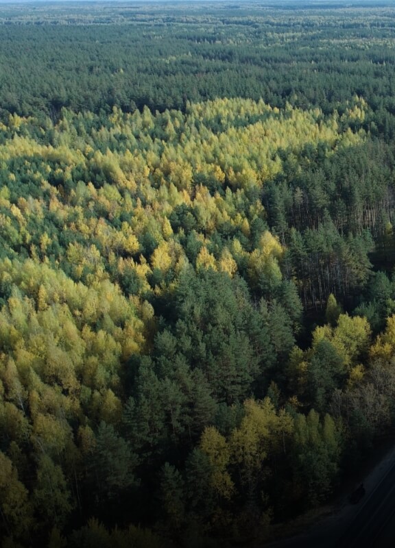 Zenmuse L3 - Scenarii de utilizare - Managementul forestier